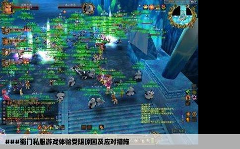 ###蜀门私服游戏体验受阻原因及应对措施